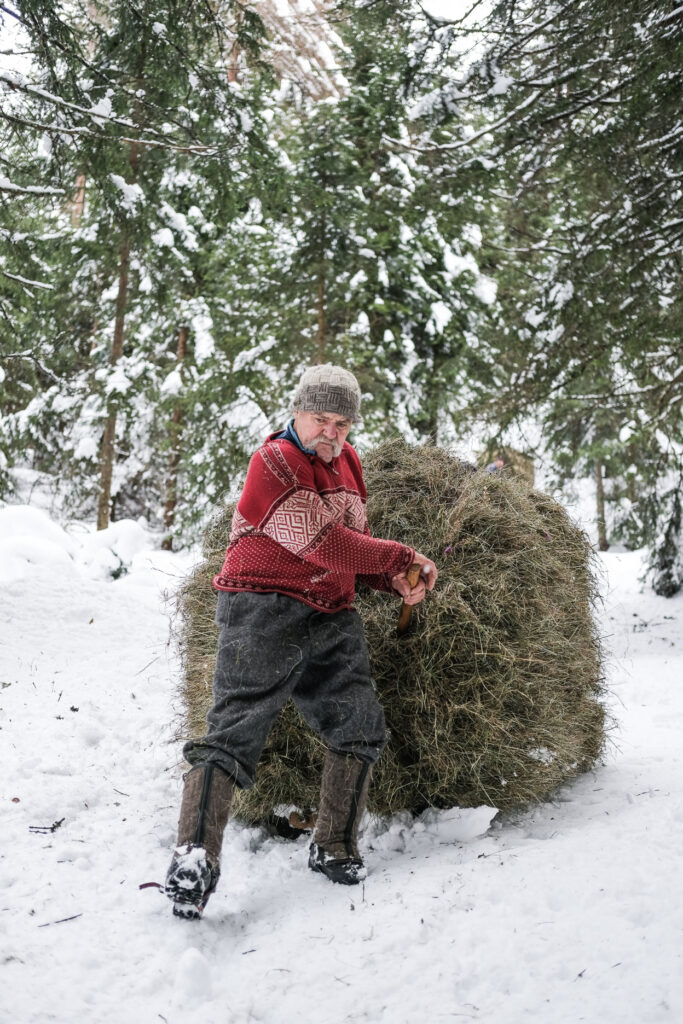 Heuziehen im Valsertal, Tirol. Foto: Simon Schöpf